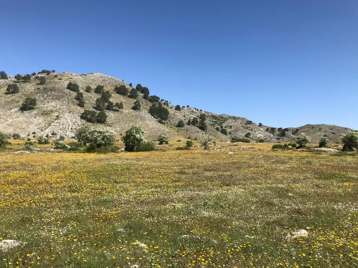 Apartamentos Fuente La Raja La Iruela España